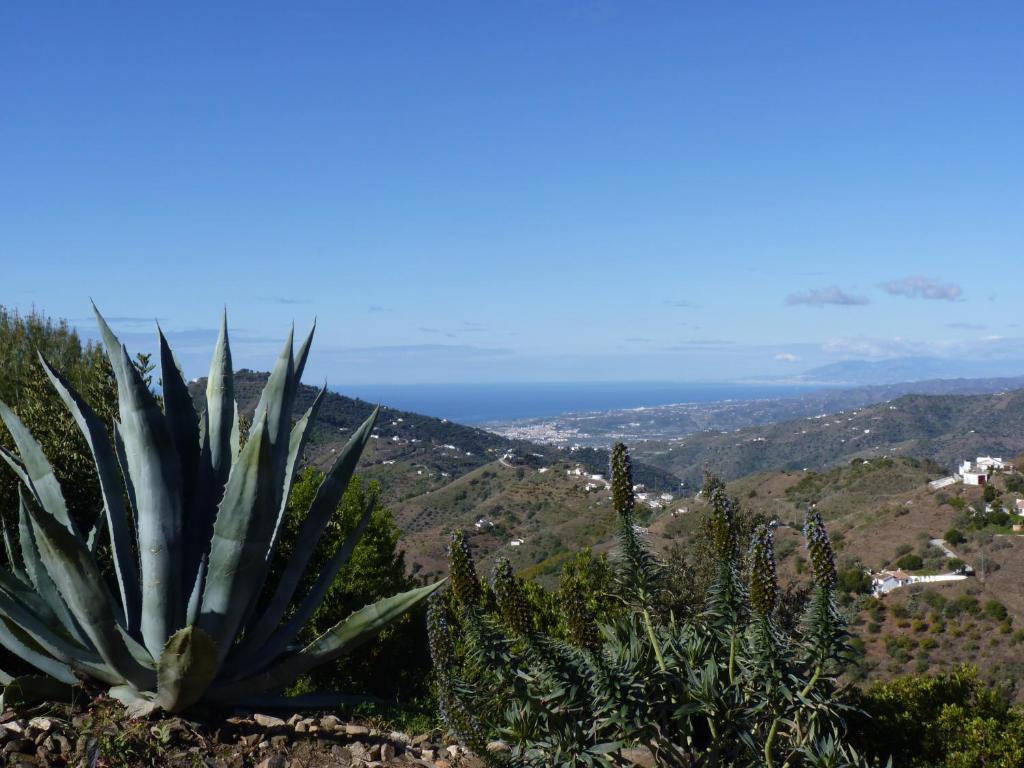 La Madrugada Bed and breakfast 3*