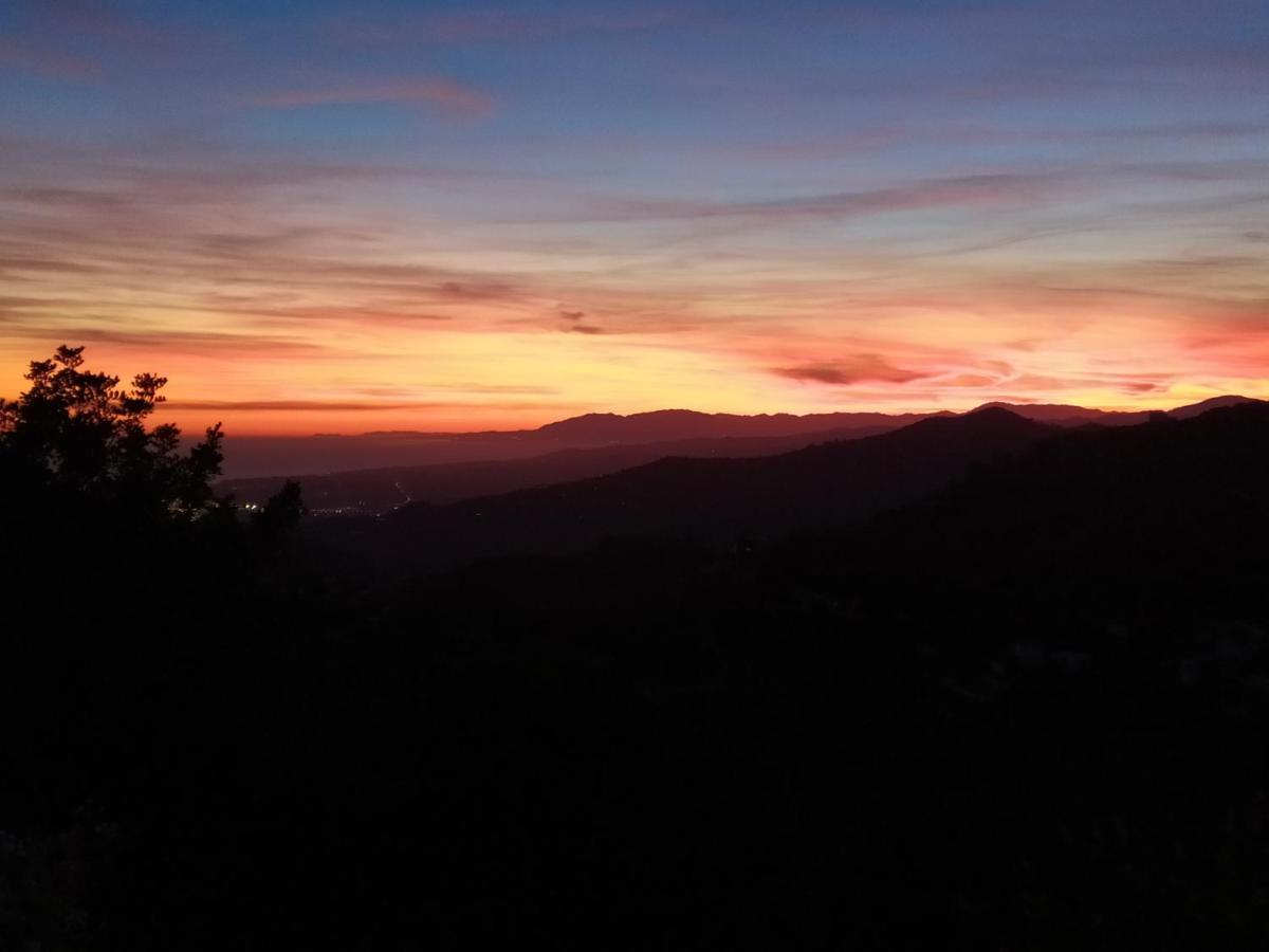 La Madrugada